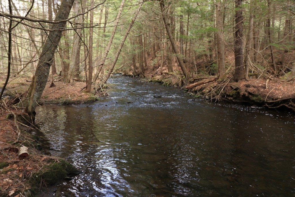 926 Watson Spruce Corner Road Ashfield, MA 01330 - Photo 13 of 42 Gallery Image 13