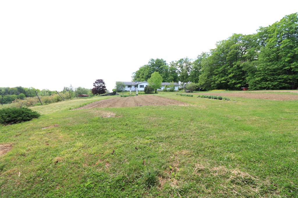 926 Watson Spruce Corner Road Ashfield, MA 01330 - Photo 15 of 42 Gallery Image 15