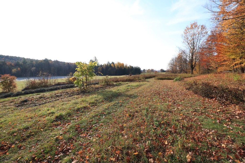 926 Watson Spruce Corner Road Ashfield, MA 01330 - Photo 17 of 42 Gallery Image 17