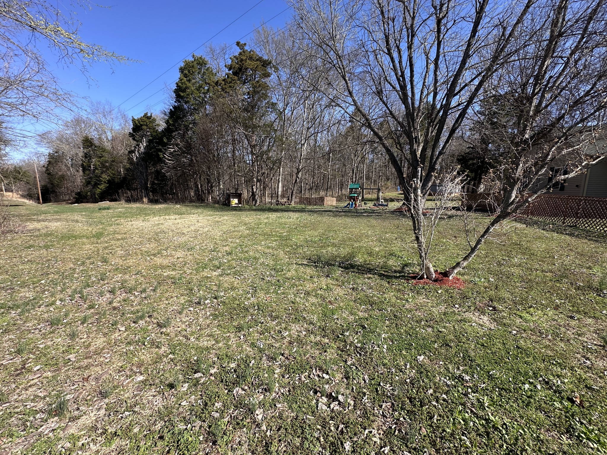 98 Buffalo Road Gracey, KY 42232 - Photo 5 of 35 Gallery Image 5