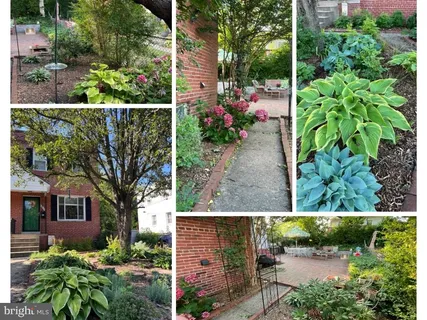 $700,000 | 3209 13th Road South, Arlington, VA 22204