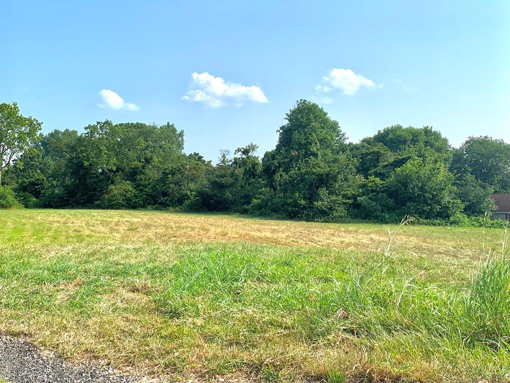 Lot 24 Overlook Road, Unit 24 Bellingham, MA 02019 - Photo 1 of 6