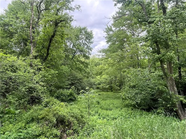 an aerial view of residential house with outdoor space and trees all around