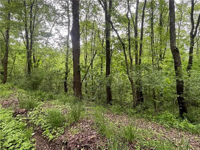a view of outdoor space and green space