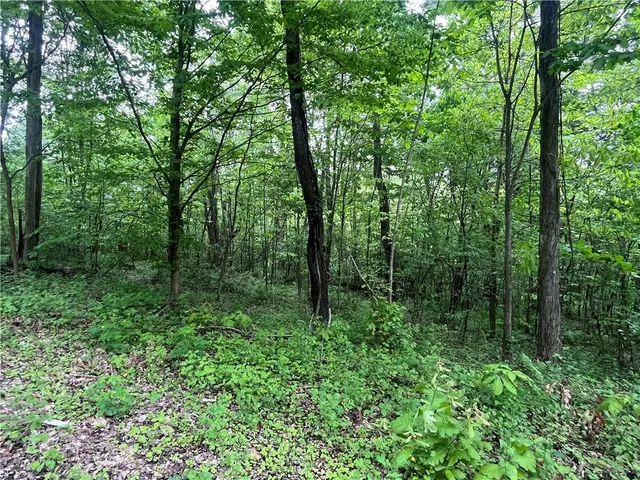 a view of outdoor space and green space