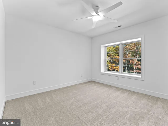 a view of yard with tree