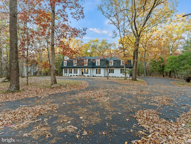 a view of a yard with large trees