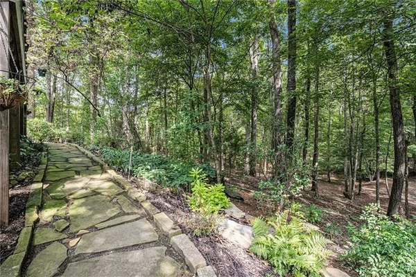 a view of outdoor space and trees