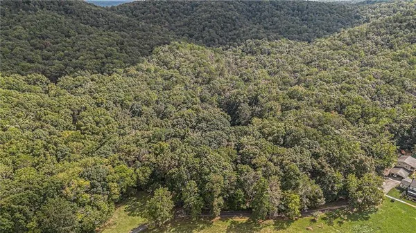 a view of a dry yard with large trees