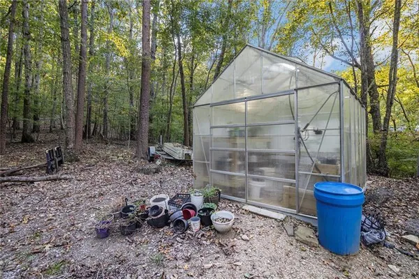 a view of a backyard with plants and trees