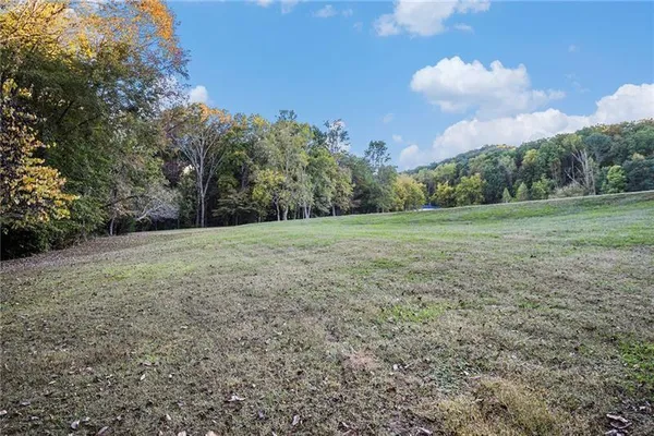 a view of a big yard with a trees