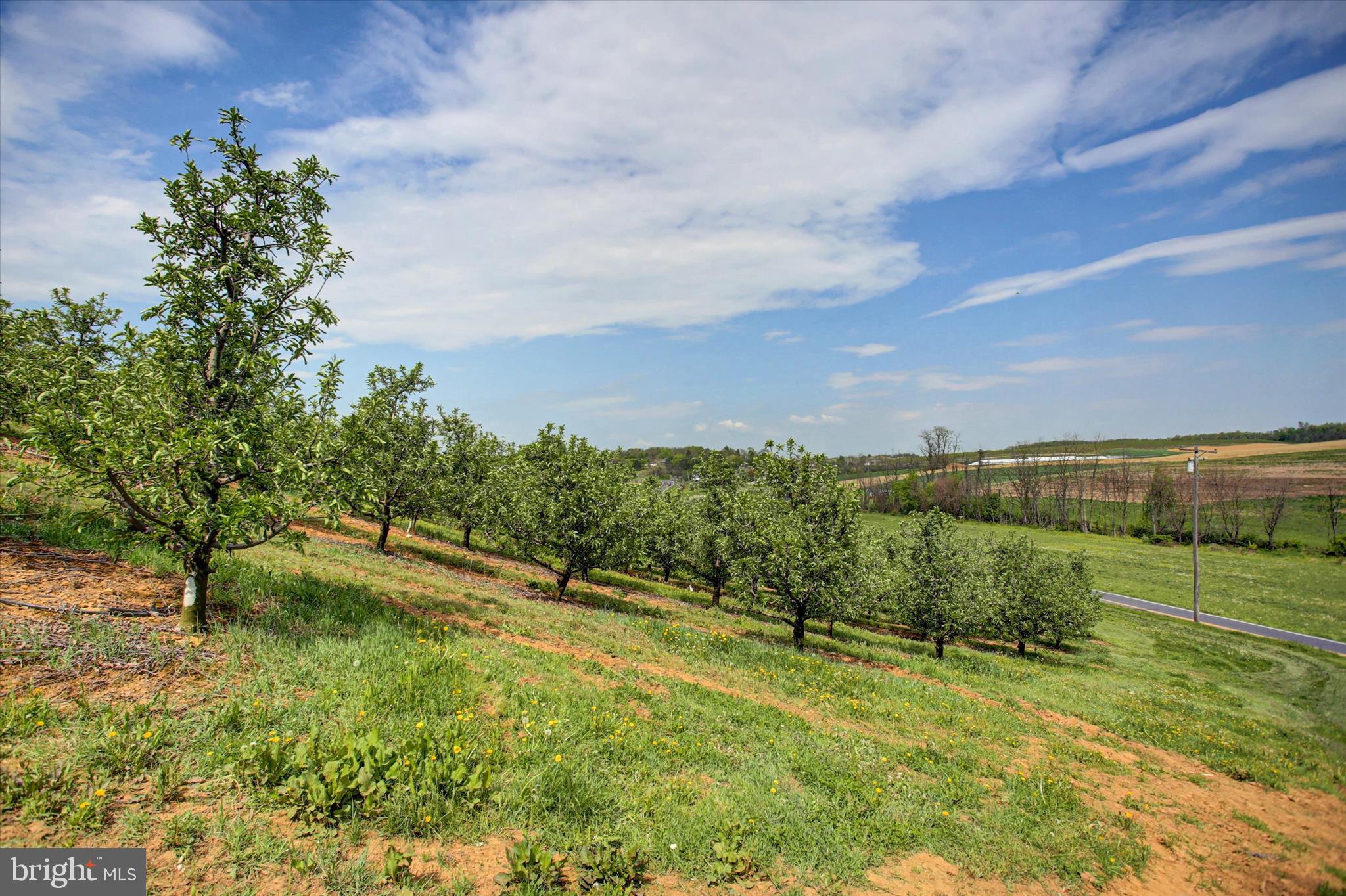 4144 Clay Hill Road Waynesboro, PA 17268 - Photo 15 of 47 Gallery Image 15