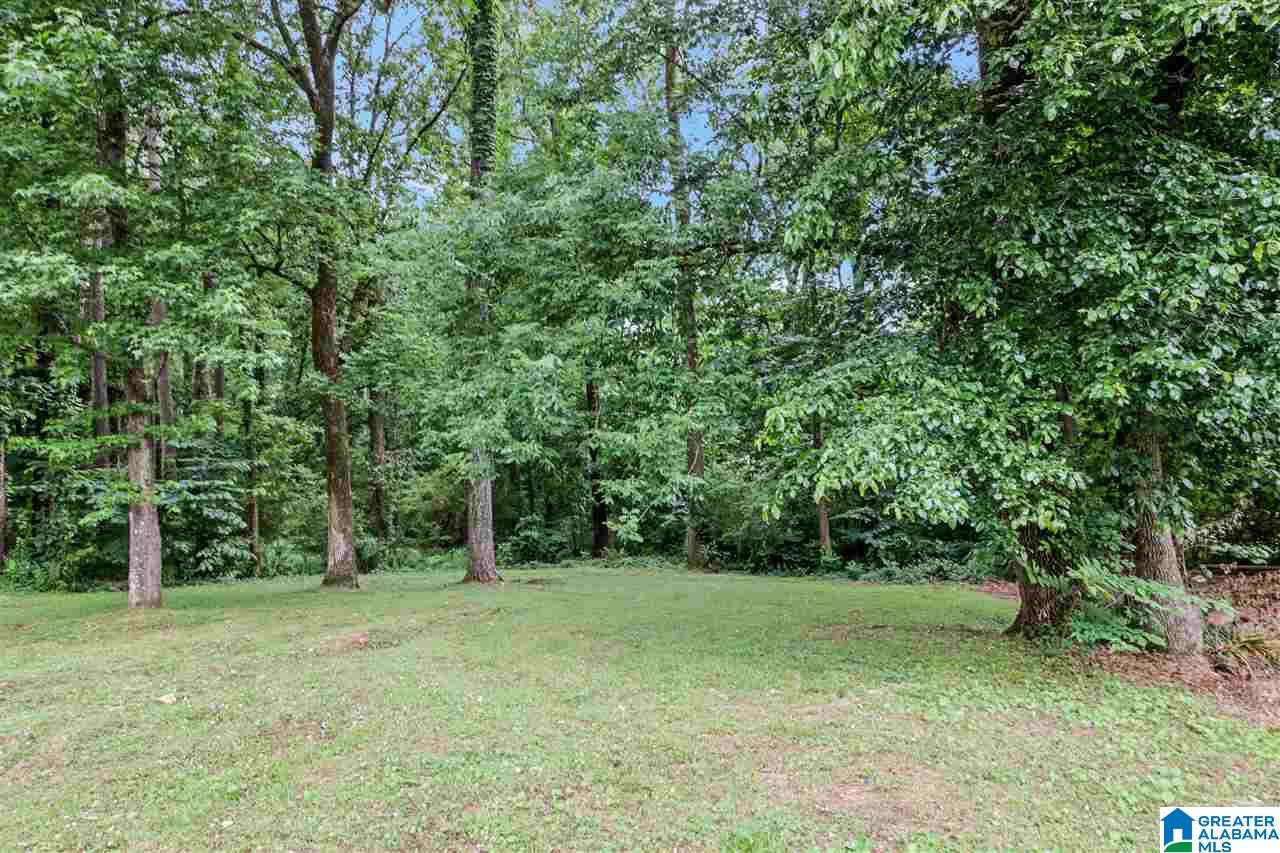 1787 Old Wagon Road Birmingham, AL 35235 - Photo 31 of 34