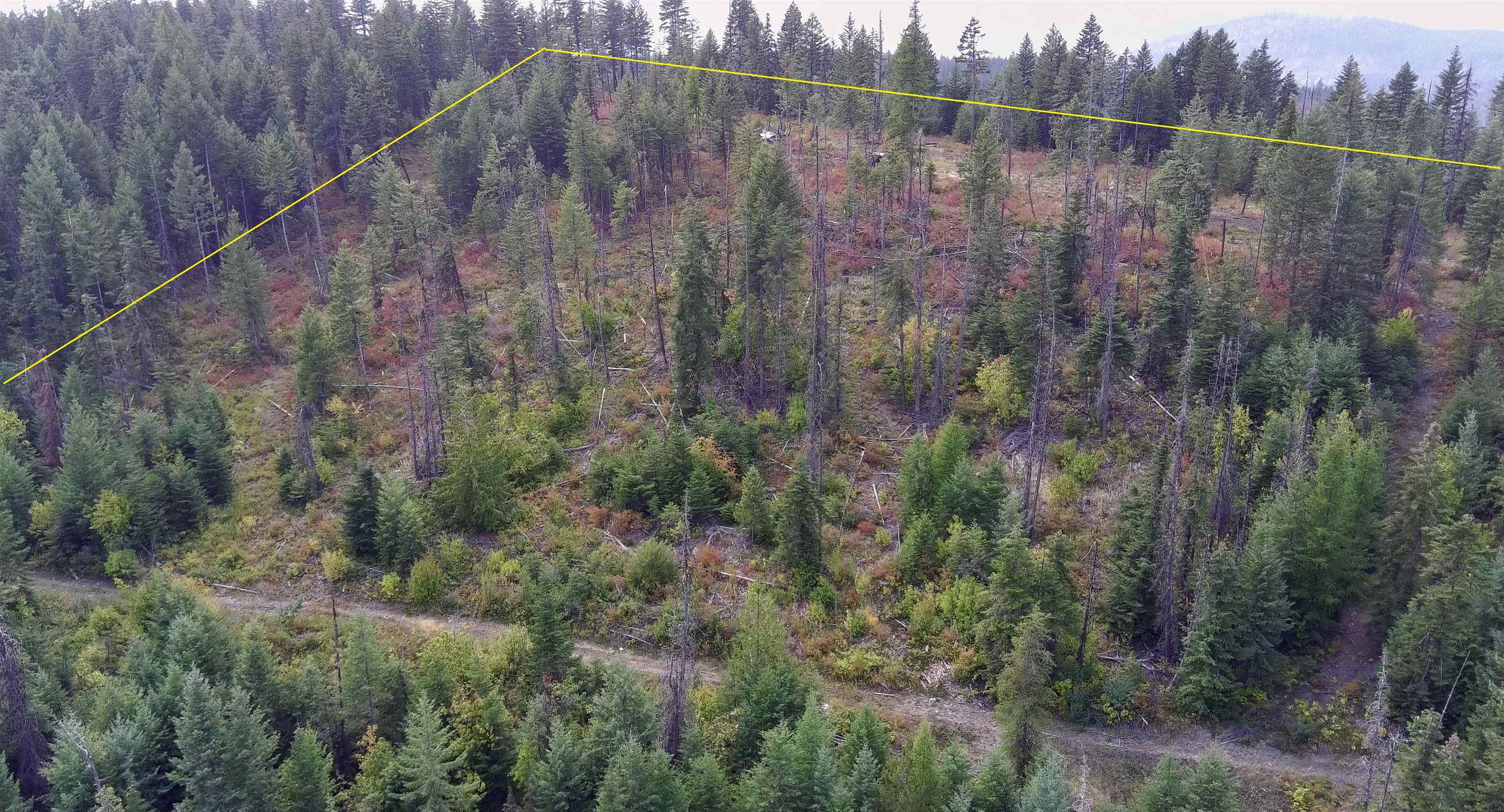 2784 Red Tail Way Colville, WA 99114 - Photo 4 of 9