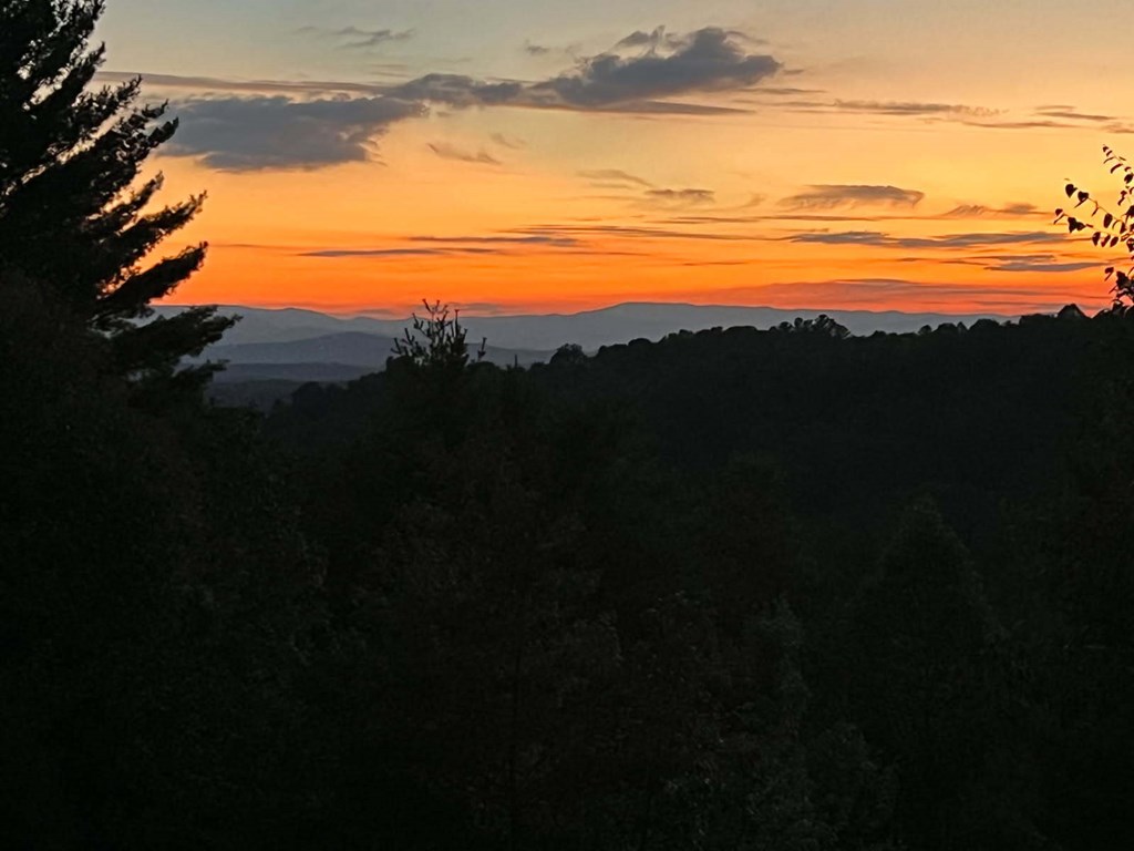 308 Cabbage Patch Morganton, GA 30560 - Photo 2 of 39