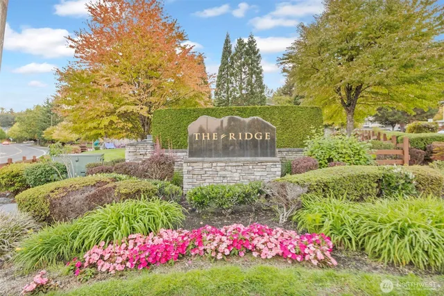 a view of a bunch of flowers