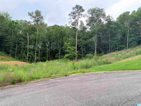 $40,000 | 905 Calvary Crossing, Fultondale, AL 35068