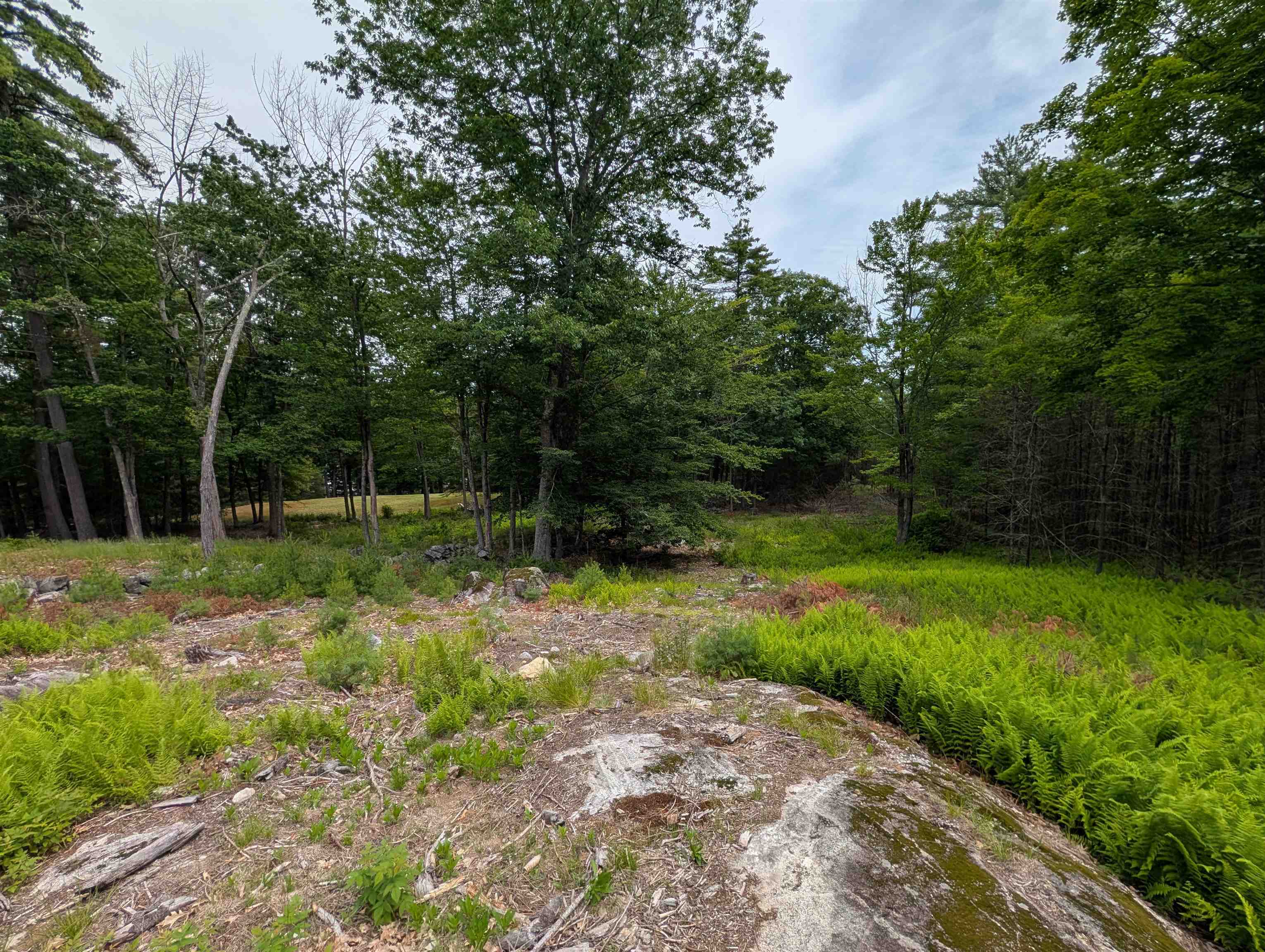 70 High Ridge Road Moultonborough, NH 03254 - Photo 8 of 37