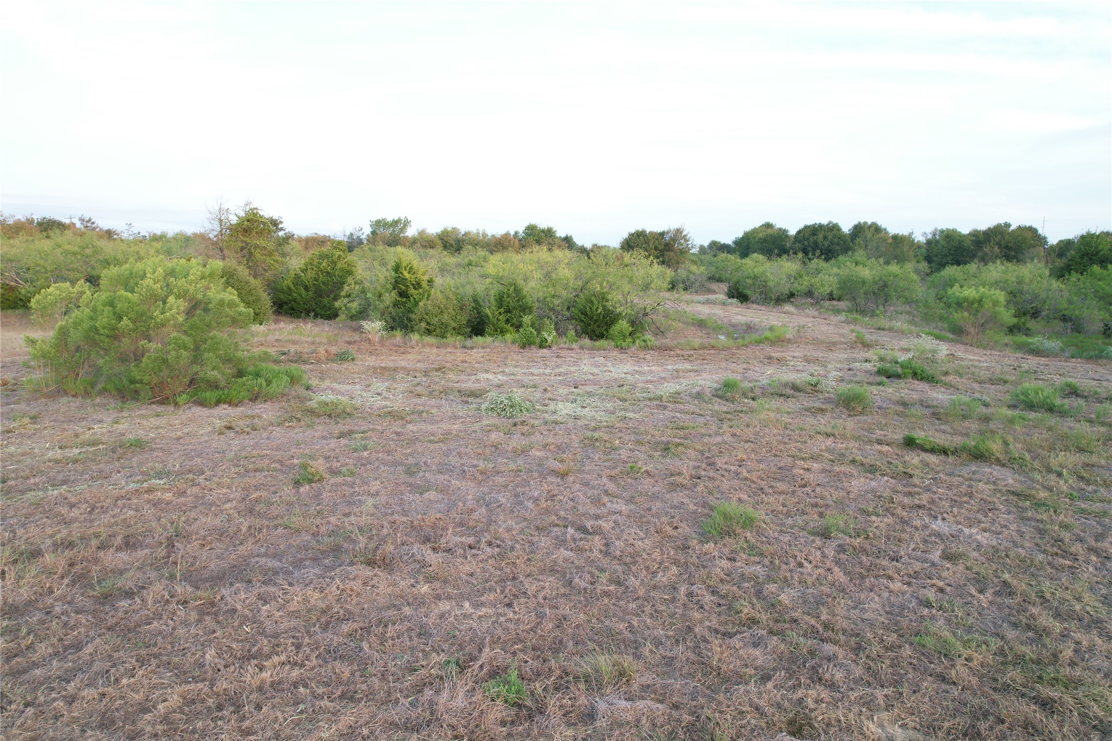 2 Prairie Grove Road Bremond, TX 76629 - Photo 3 of 28 Gallery Image 3