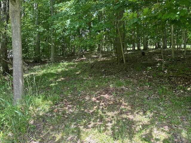 7751 Mulberry Road Heath, OH 43056 - Photo 54 of 70 BRING YOUR ATV