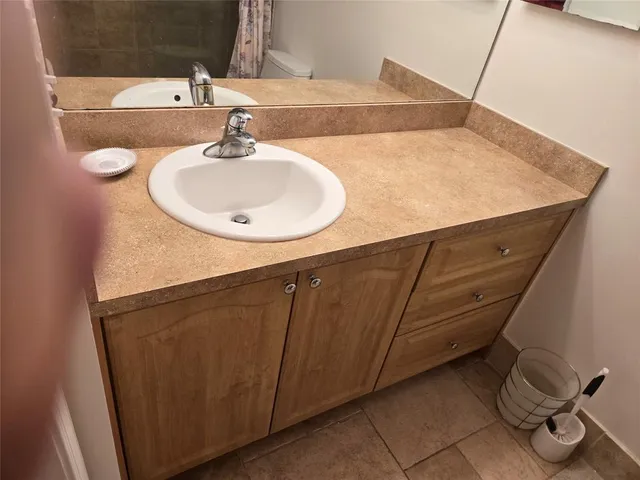 a view of path along with trees