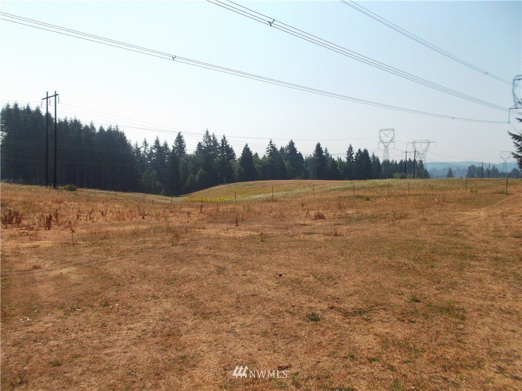 483 Harmon Road Chehalis, WA 98532 - Photo 22 of 23