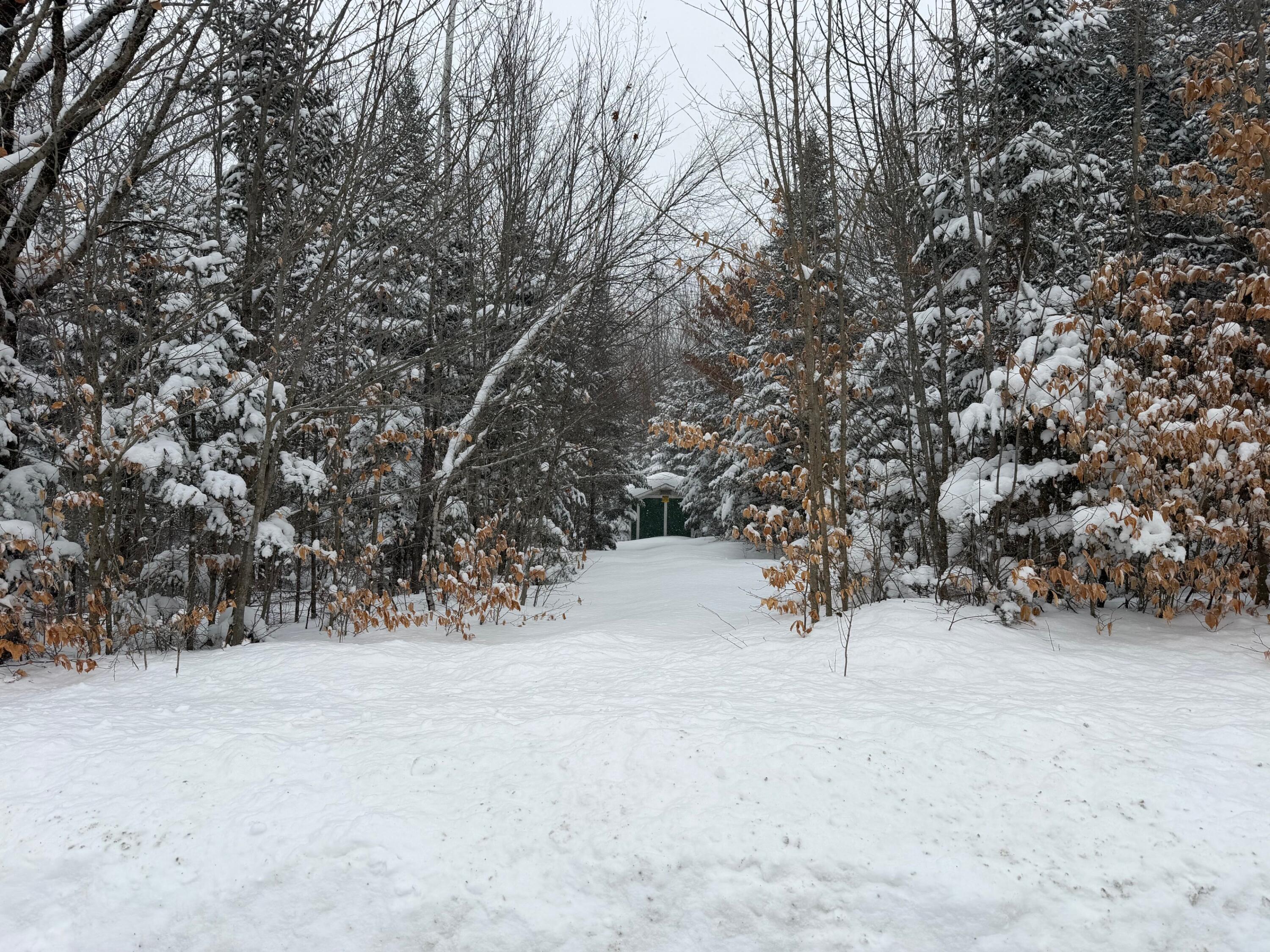 839 Oliver Hill Road Garland, ME 04939 - Photo 11 of 13 11