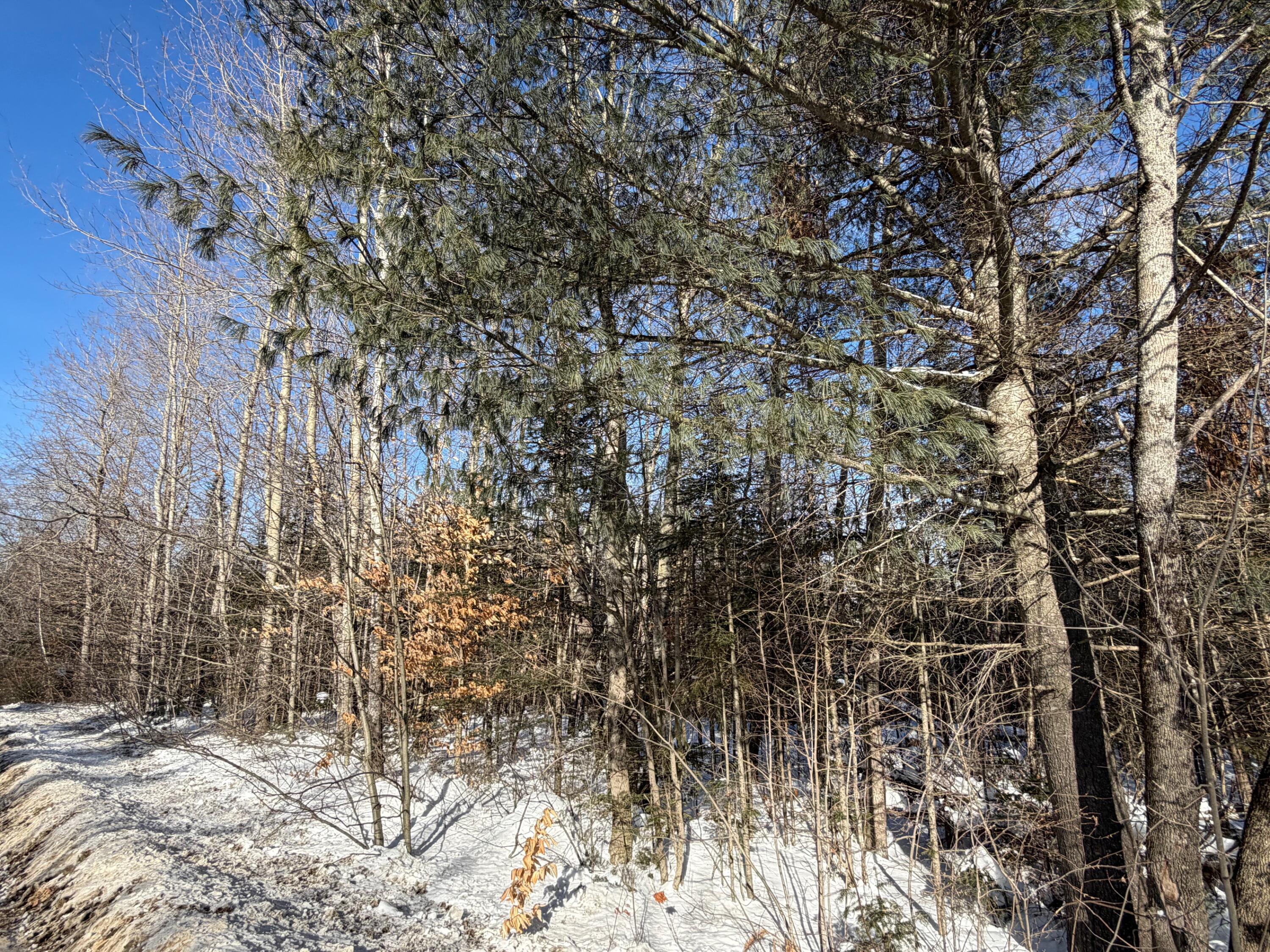 839 Oliver Hill Road Garland, ME 04939 - Photo 12 of 13 12