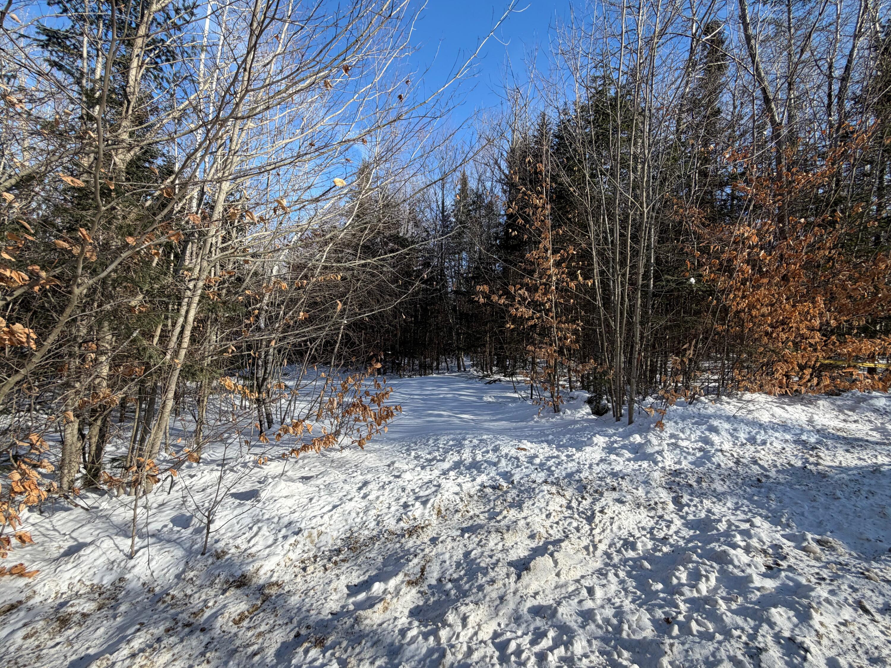 839 Oliver Hill Road Garland, ME 04939 - Photo 13 of 13 13