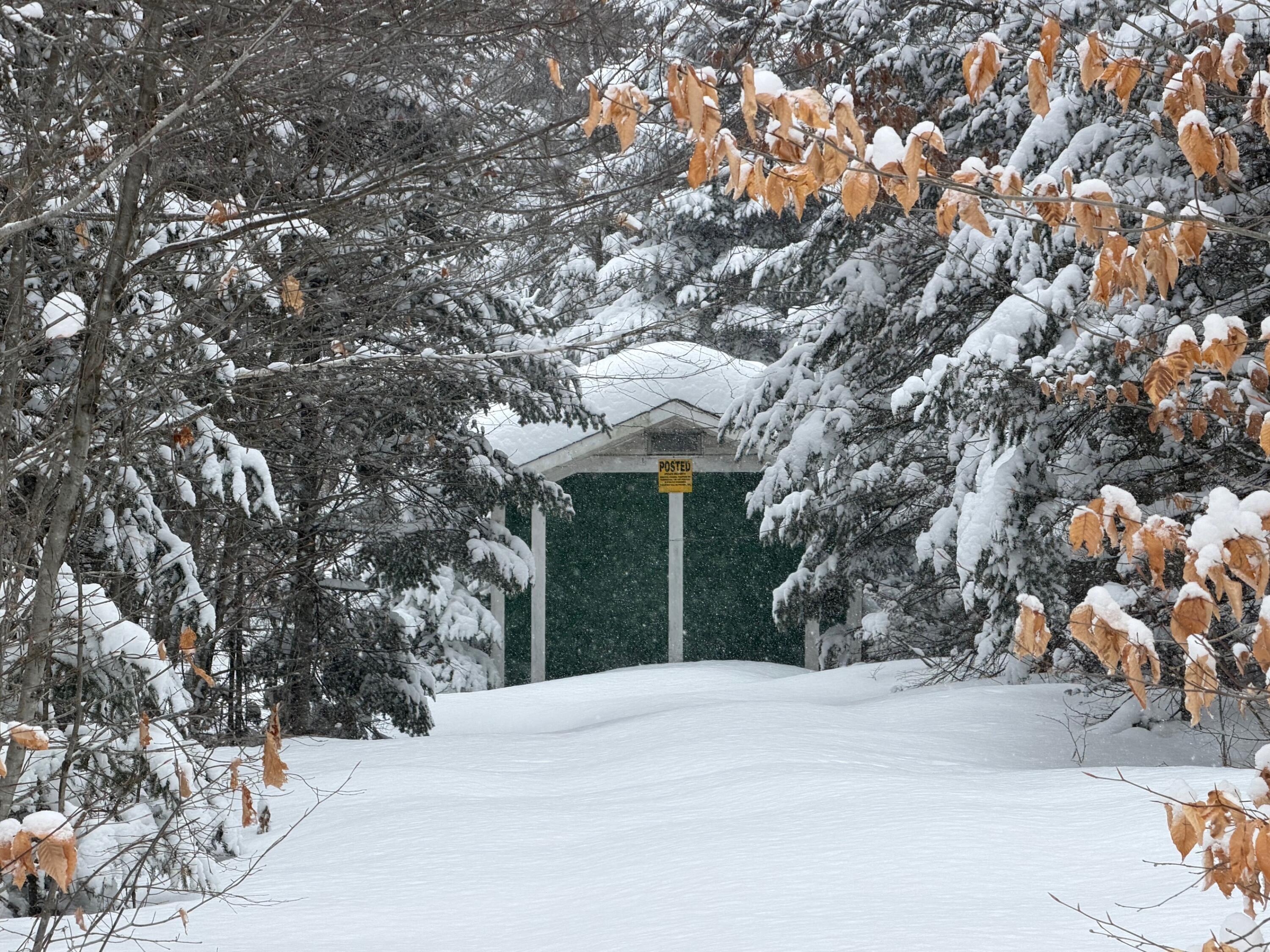 839 Oliver Hill Road Garland, ME 04939 - Photo 2 of 13 2