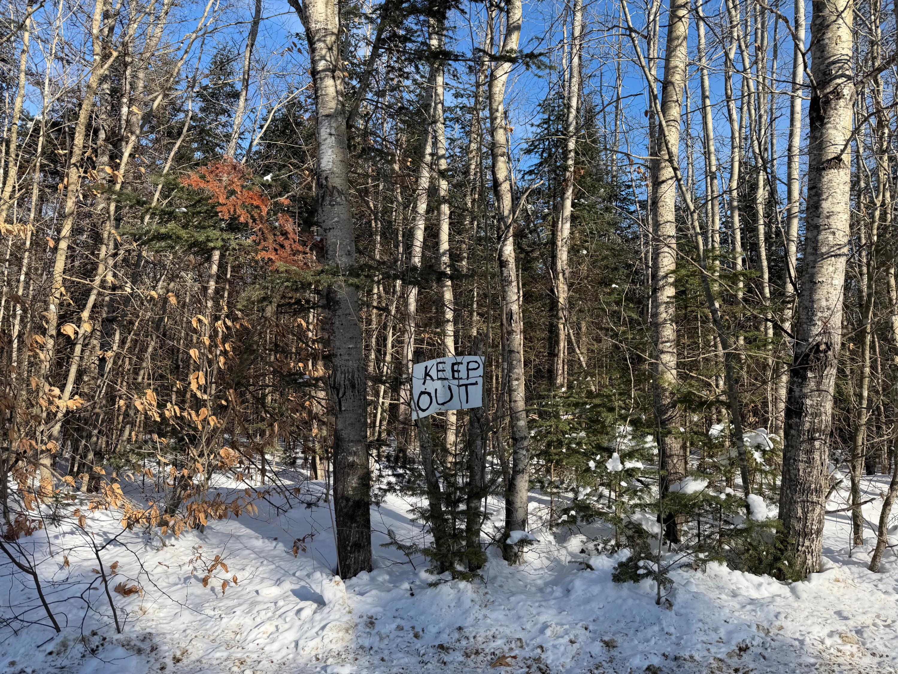 839 Oliver Hill Road Garland, ME 04939 - Photo 4 of 13 4