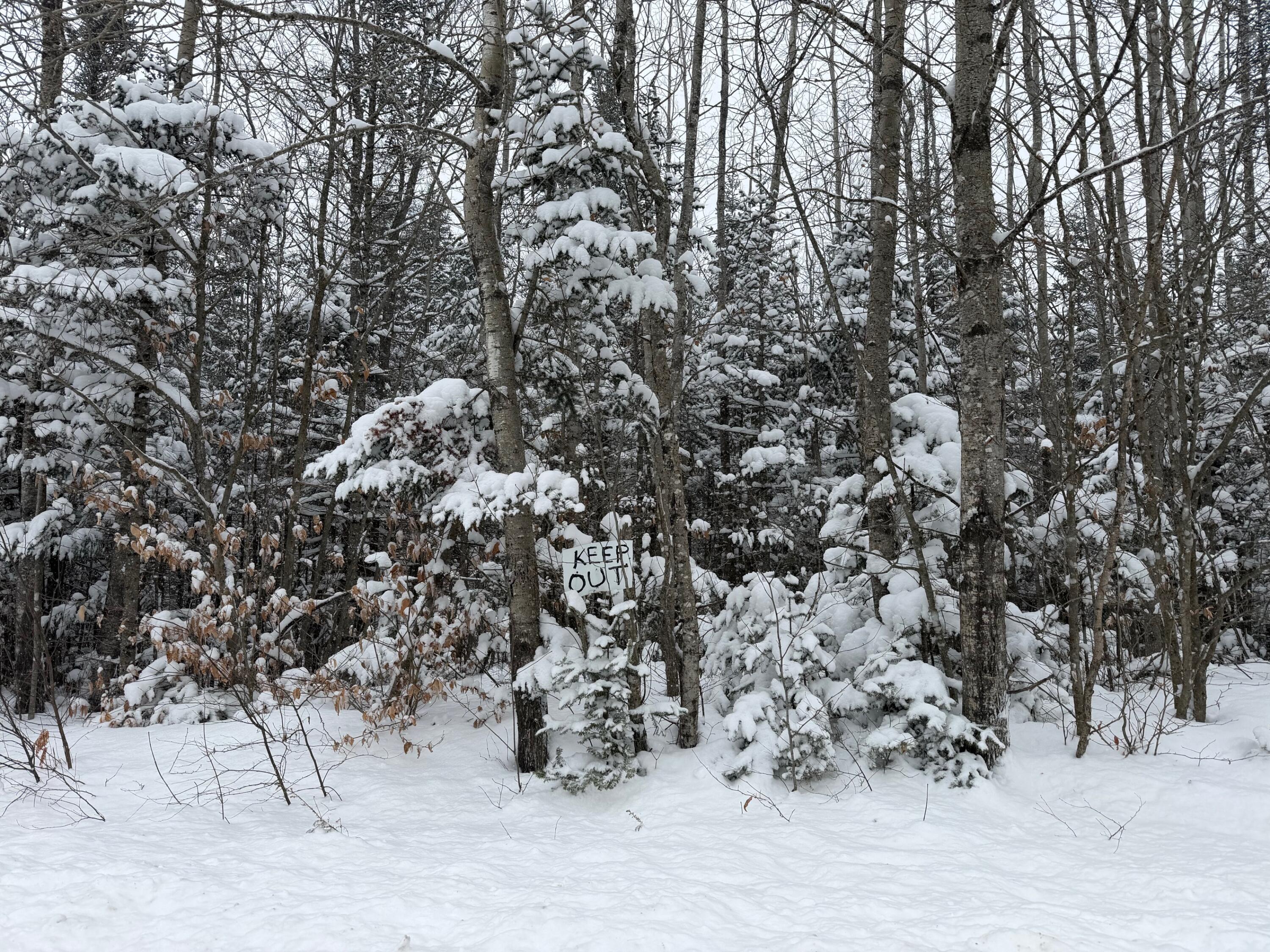 839 Oliver Hill Road Garland, ME 04939 - Photo 10 of 13 10