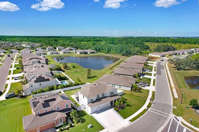 a view of a yard with a tree