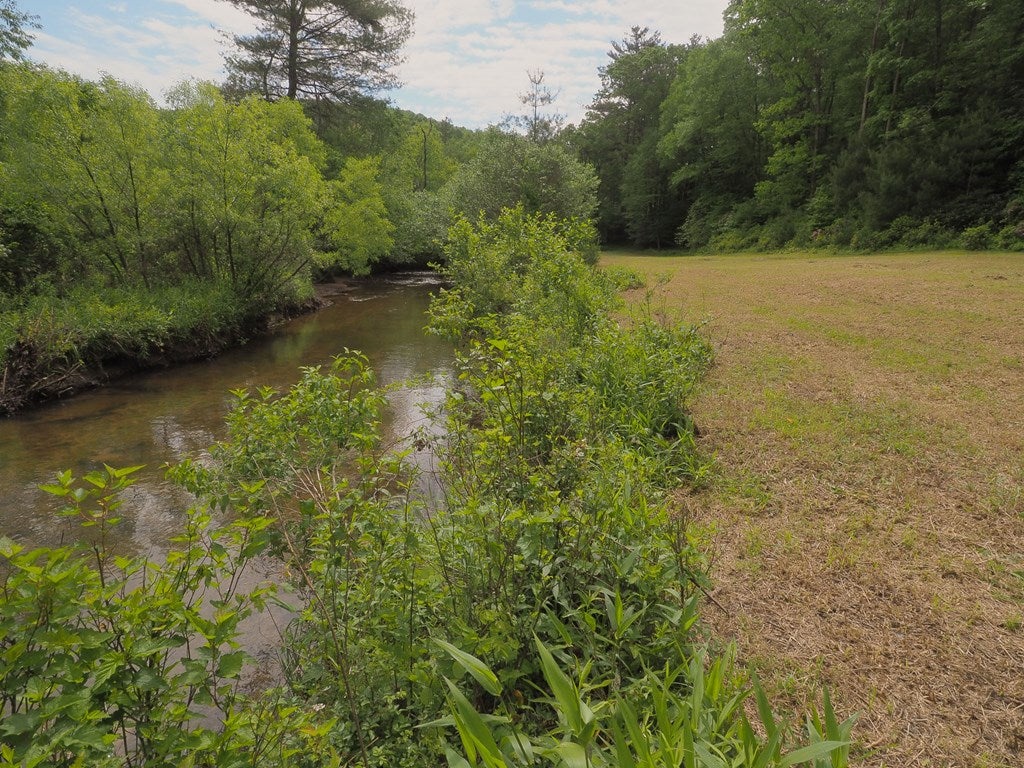 3263 Millstone Road Woodlawn, VA 24381 - Photo 68 of 74 Gallery Image 68
