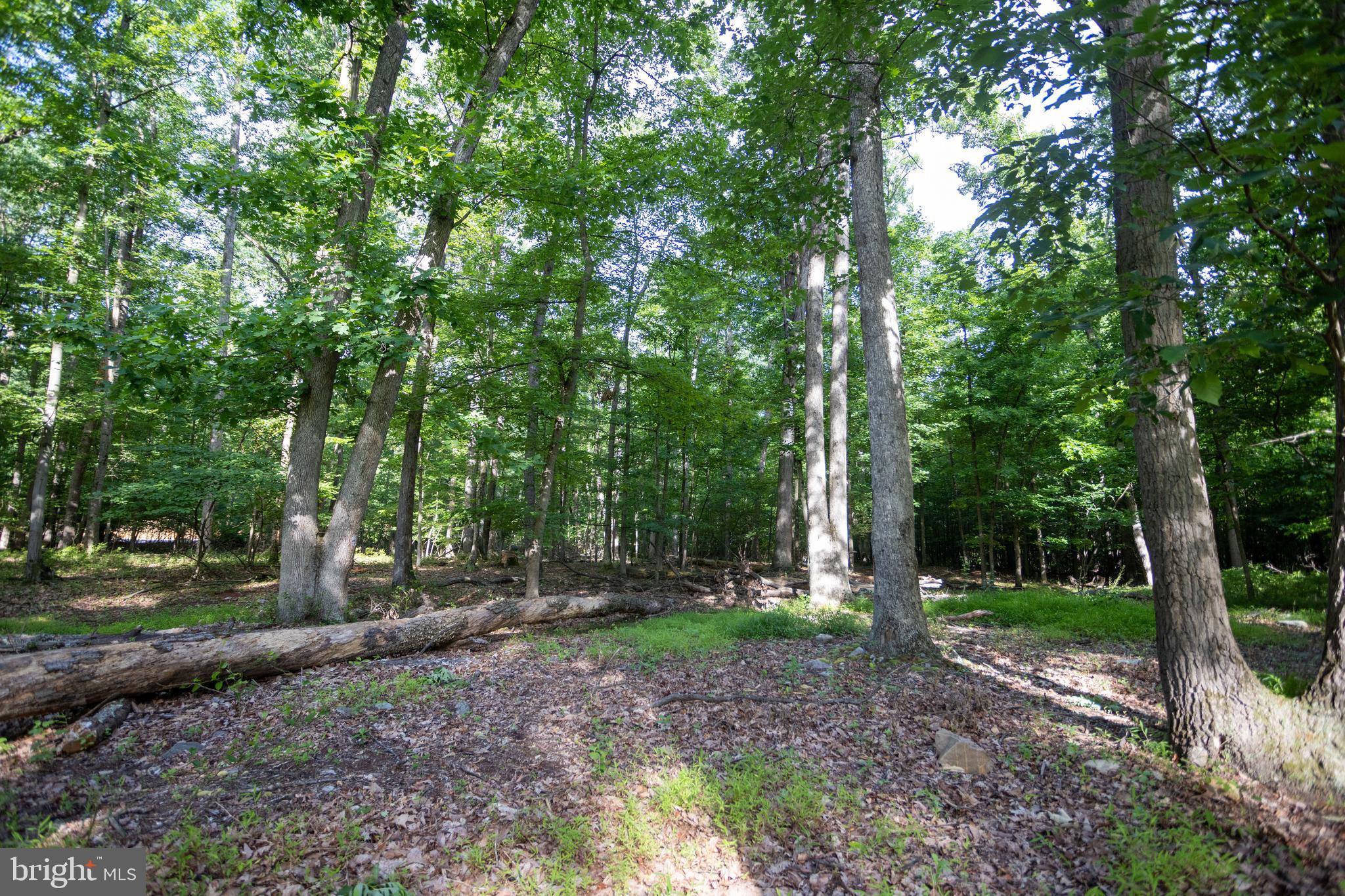 110 Cold Springs Road Carlisle, PA 17015 - Photo 16 of 25