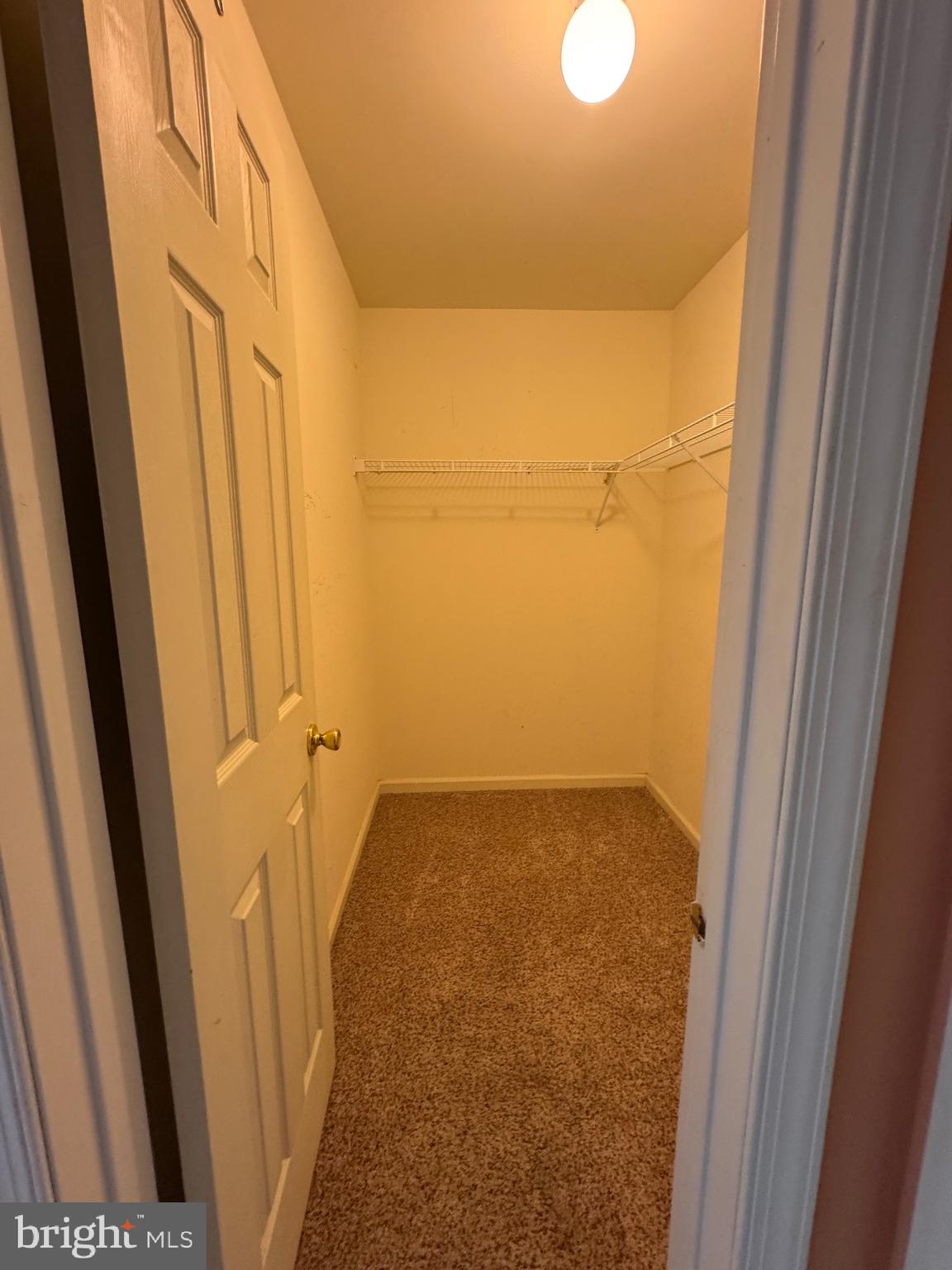 5513 Rinker Circle Doylestown, PA 18902 - Photo 16 of 22 a view of closet