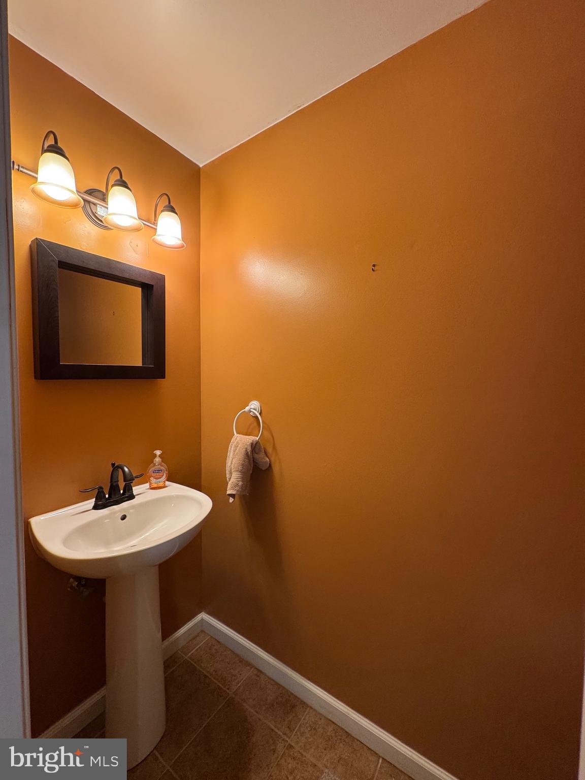 5513 Rinker Circle Doylestown, PA 18902 - Photo 6 of 22 a bathroom with a sink and a mirror