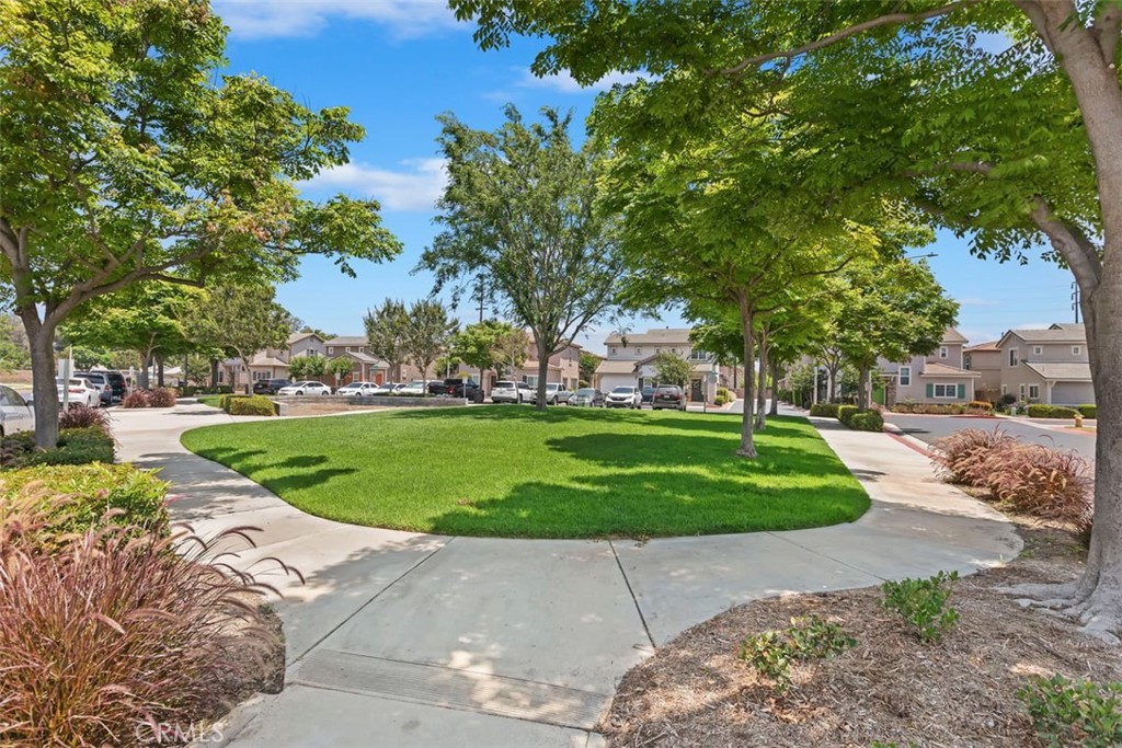1339 Castledale Street Riverside, CA 92501 - Photo 25 of 27 a view of a park with large trees