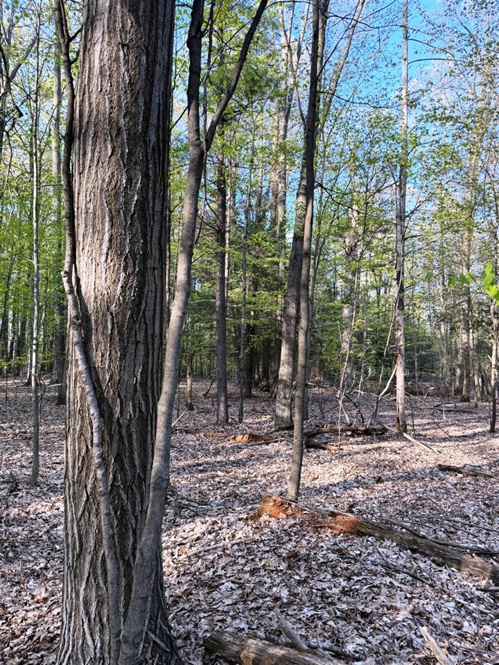 0 West Adams Road Hesperia, MI 49421 - Photo 44 of 74