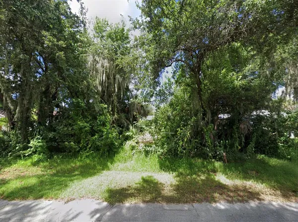 a view of a lush green space