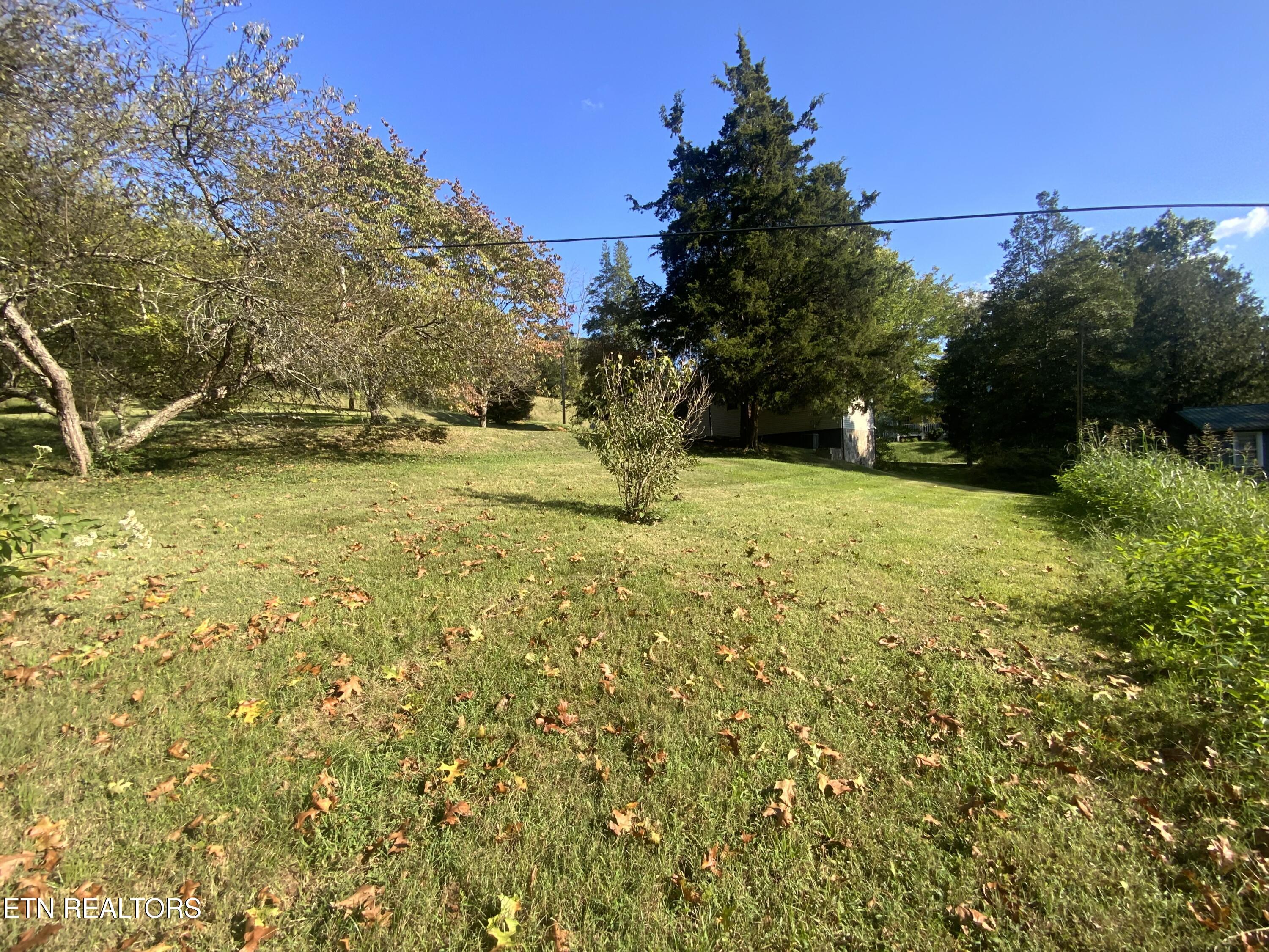 139 Stephens Road Rocky Top, TN 37769 - Photo 5 of 22 IMG_8401