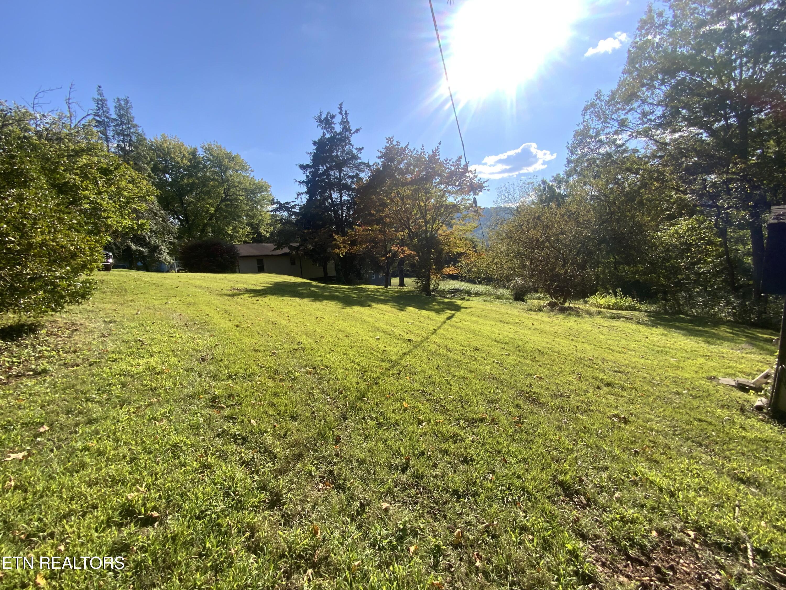 139 Stephens Road Rocky Top, TN 37769 - Photo 7 of 22 IMG_8404