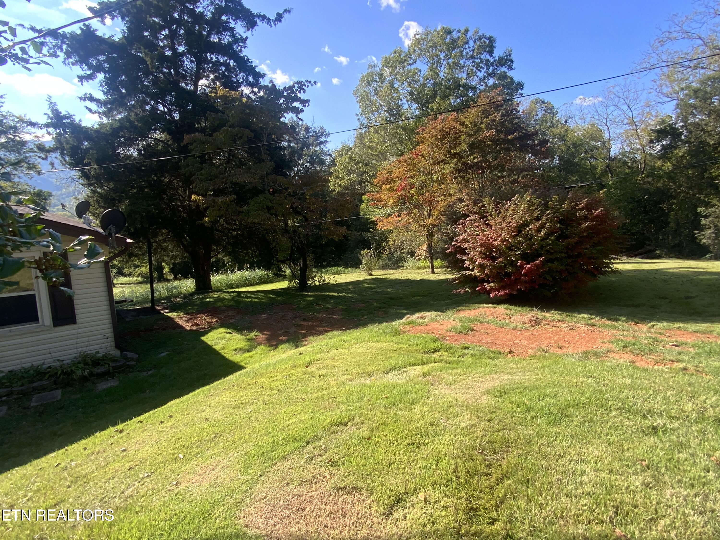 139 Stephens Road Rocky Top, TN 37769 - Photo 10 of 22 IMG_8407