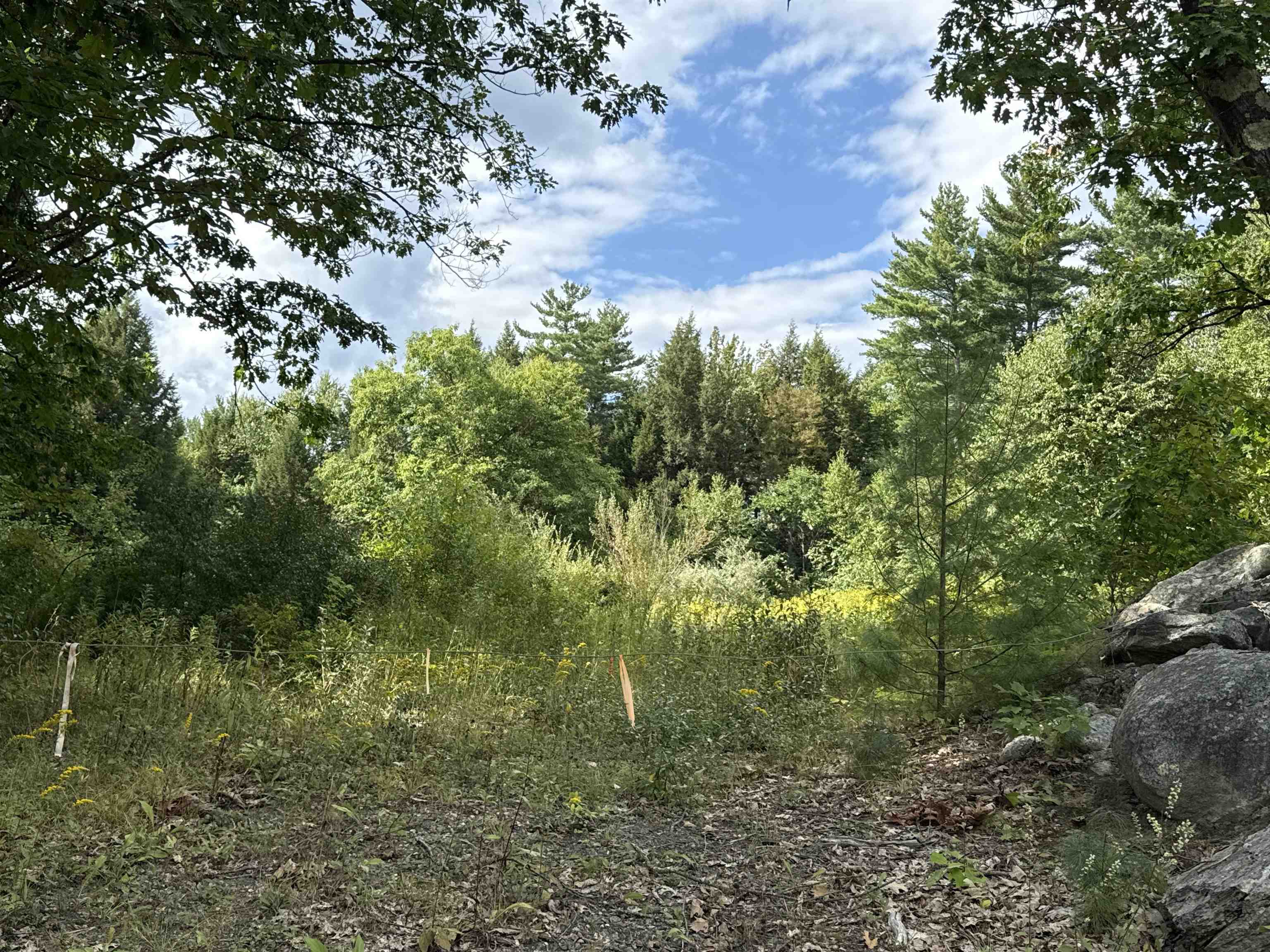 1475 Brockways Mill Road Chester, VT 05143 - Photo 4 of 11 Gallery Image 4