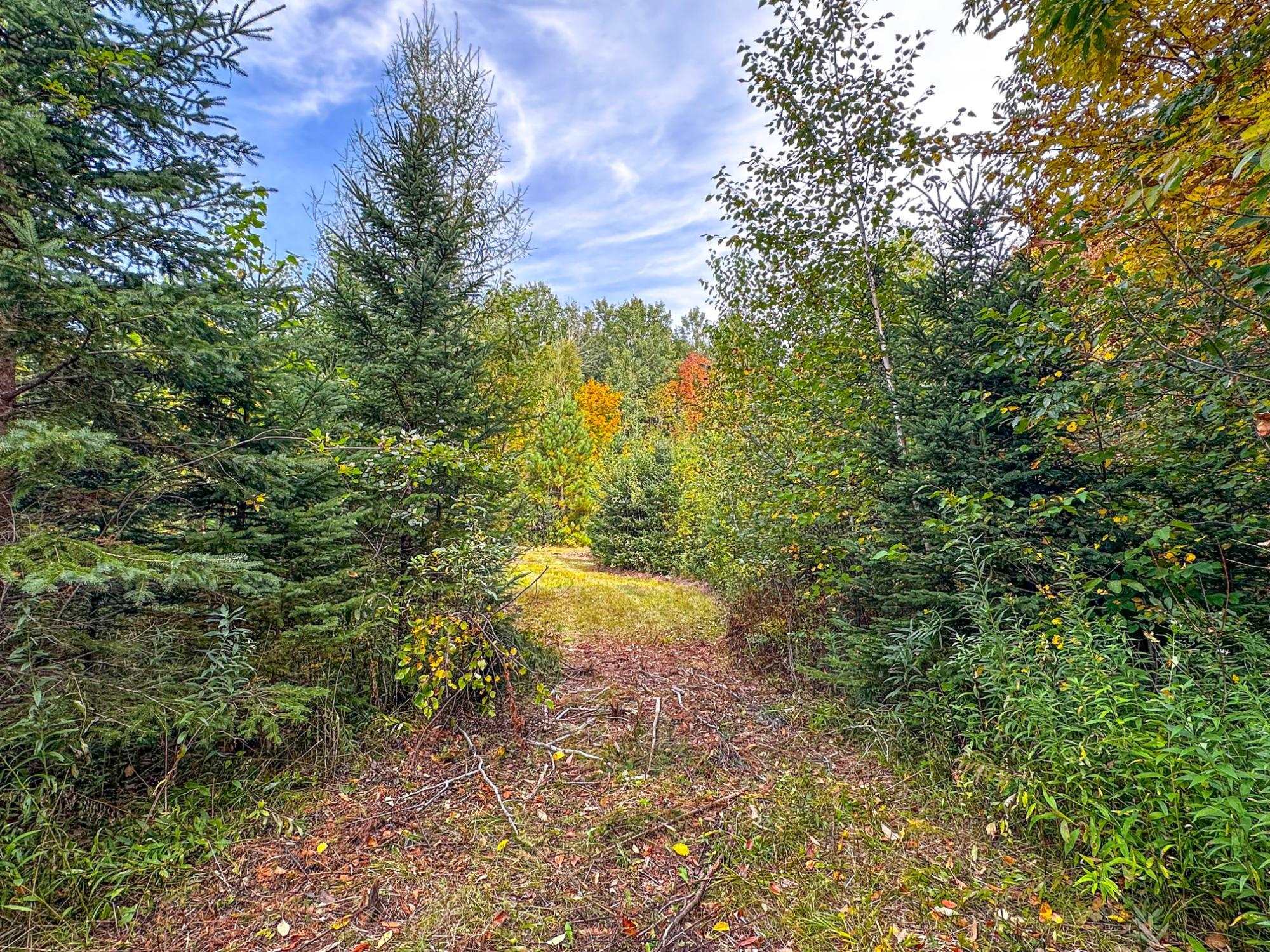 72281 Hennes Road Glidden, WI 54527 - Photo 42 of 50