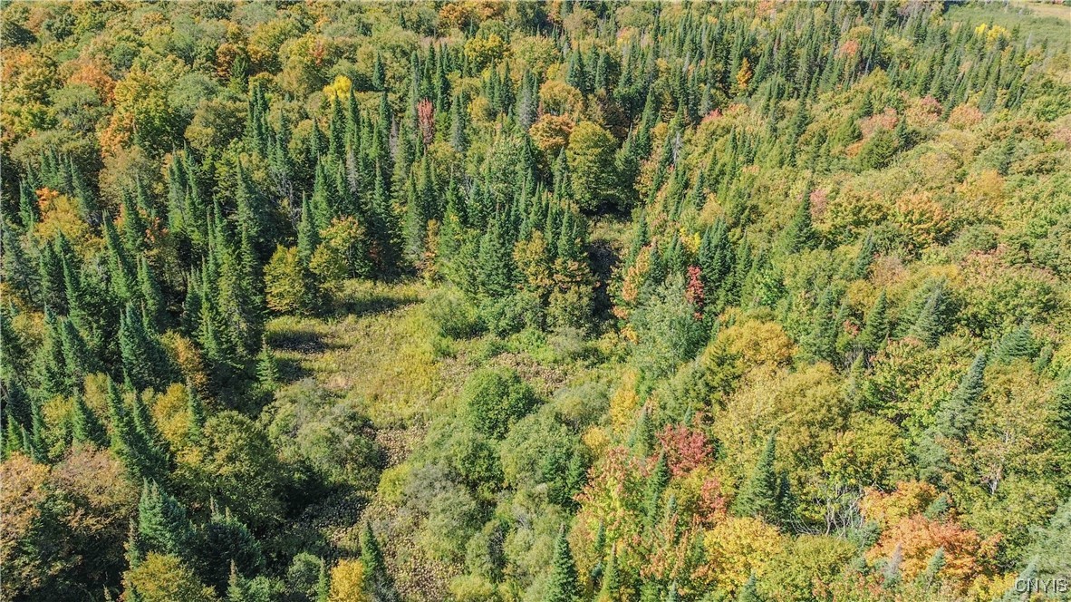 7087 Liberty Road Montague, NY 13626 - Photo 11 of 36