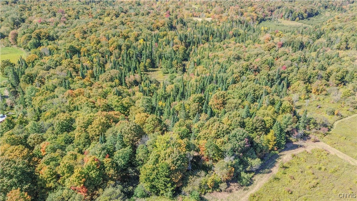 7087 Liberty Road Montague, NY 13626 - Photo 12 of 36