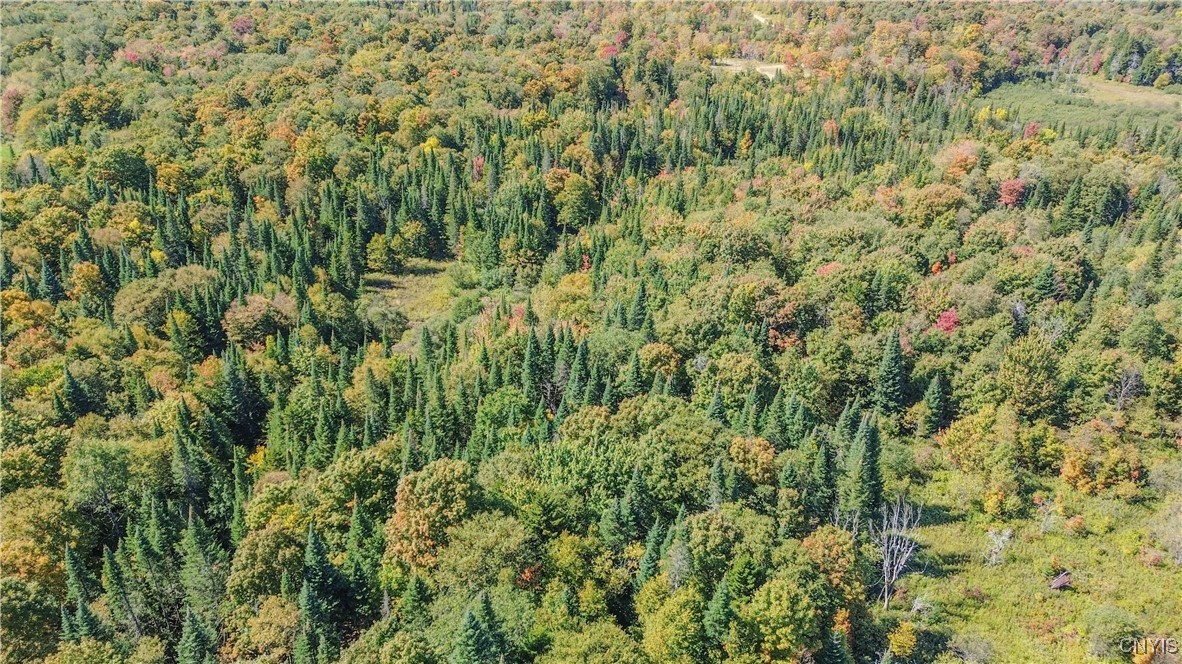 7087 Liberty Road Montague, NY 13626 - Photo 13 of 36