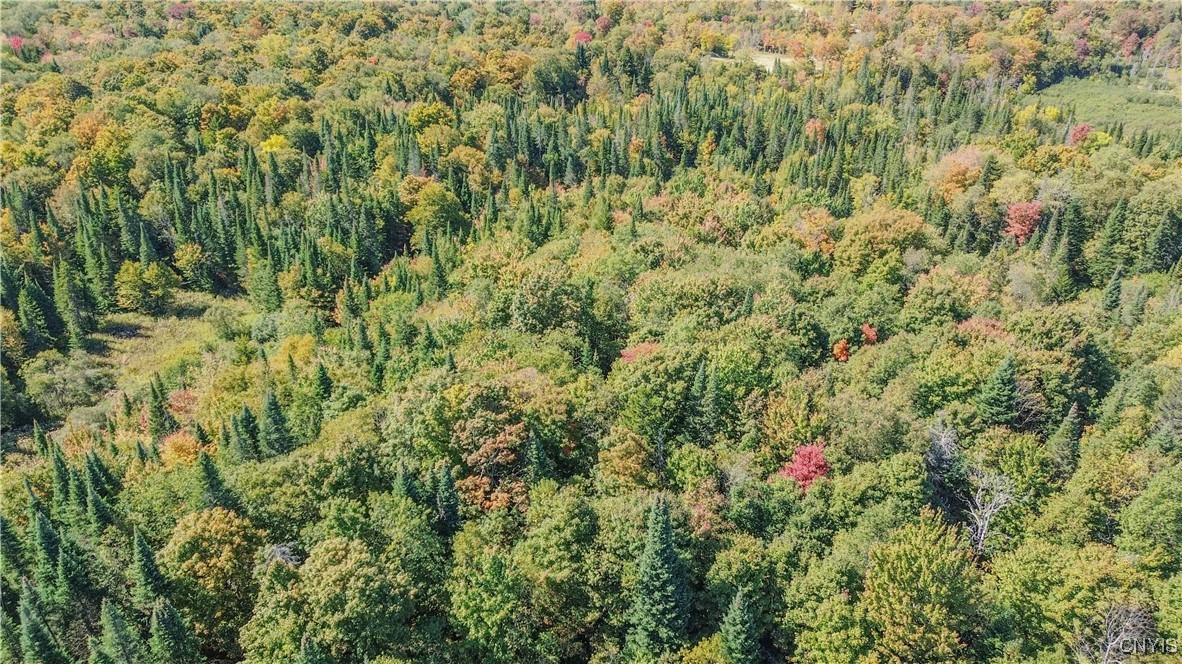 7087 Liberty Road Montague, NY 13626 - Photo 14 of 36