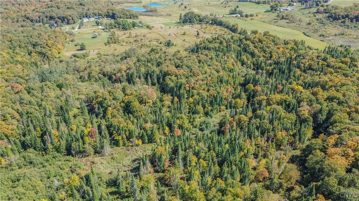 7087 Liberty Road Montague, NY 13626 - Photo 8 of 36